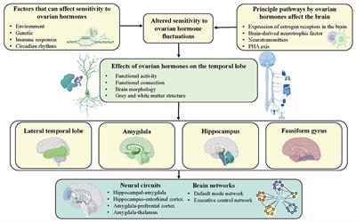The Prominent Role of the Temporal Lobe in Premenstrual Syndrome and Premenstrual Dysphoric Disorder: Evidence From Multimodal Neuroimaging